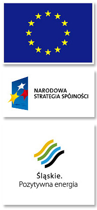 Program regionalny