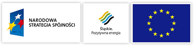 Program regionalny